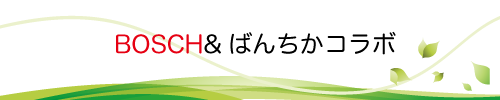 BOSCH_Title001.png